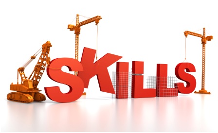 Expertise Vaardigheden Deskundigheid Skills