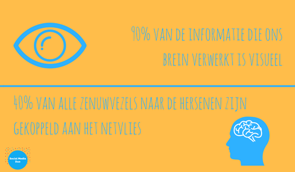 Voorbeeld van een infographic